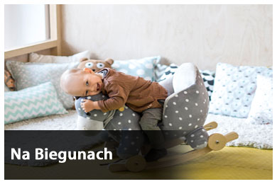 Koniki dla dzieci na biegunach